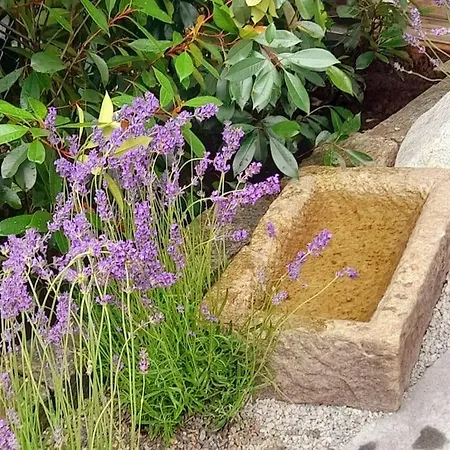 Adults Only Spa-relax-suite Appartement *