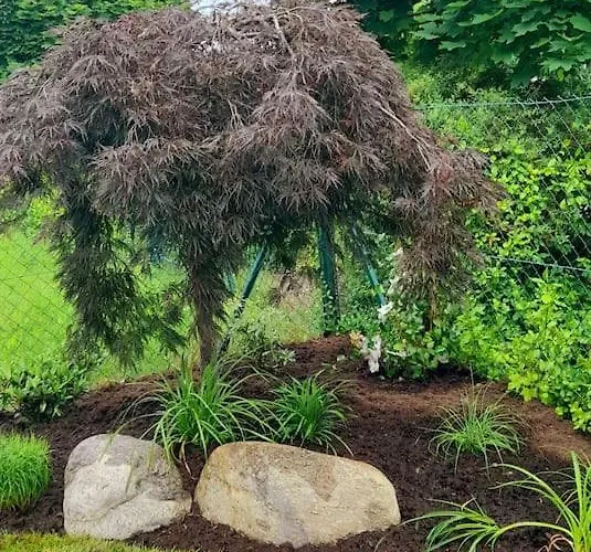 Adults Only Spa-relax-suite * Bad Waltersdorf