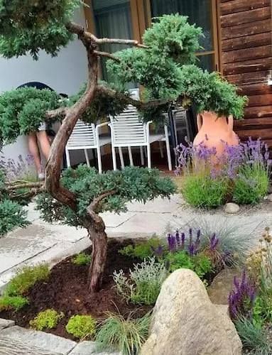 Adults Only Spa-relax-suite