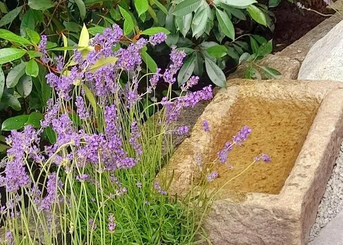 Adults Only Spa-relax-suite Lägenhet *