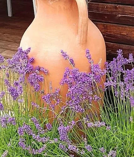 Adults Only Spa-relax-suite Lägenhet *